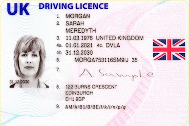 drivers licence